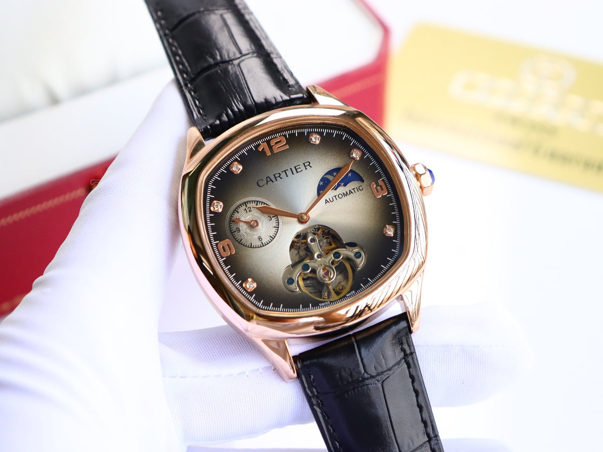 Premium Stainless Steel Mechanical Watch 7 Style Options Moon Phase Skeleton Design Luxury Look